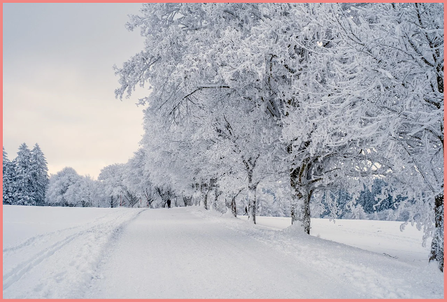 wisdom comes with winters.