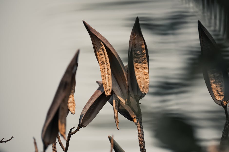 How to Break in New Boots Without Getting Blisters